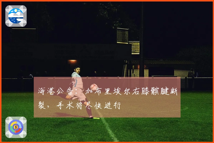 海港公告：加布里埃尔右膝髌腱断裂，手术将尽快进行