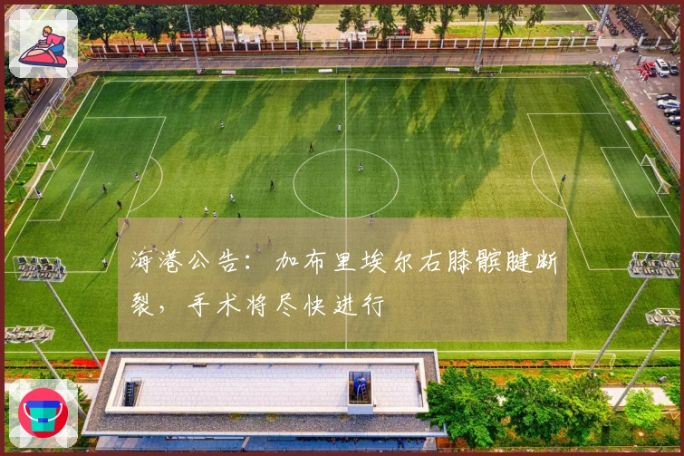 海港公告：加布里埃尔右膝髌腱断裂，手术将尽快进行
